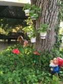 Отдых в Крыму, жилье в Крыму, Береговое (Бахч.)