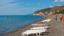 Отдых в Крыму, Рыбачье объявление