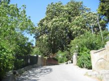 Отдых в Крыму, жилье в Крыму, Алупка