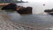 Отдых в Крыму, жилье в Крыму, Кацивели