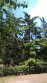 Отдых в Крыму, жилье в Крыму, Севастополь
