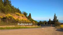 Отдых в Крыму, Рыбачье объявление