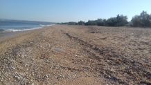 Отдых в Крыму, Новоотрадное объявление