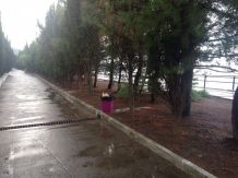 Отдых в Крыму, Приветное объявление