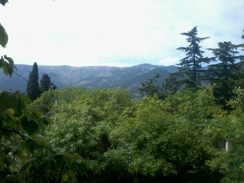 Отдых в Крыму, Ялта