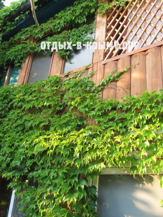 Отдых в Крыму, Рыбачье