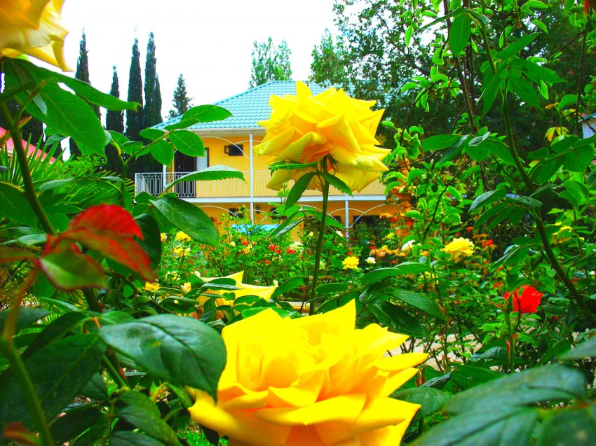 Отдых в Крыму, Канака
