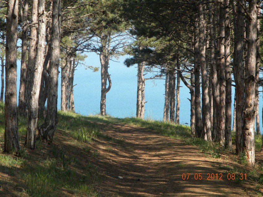 Отдых в Крыму, Учкуевка