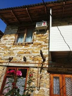 Отдых в Крыму, Евпатория