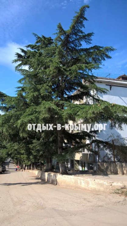 Отдых в Крыму, Рыбачье