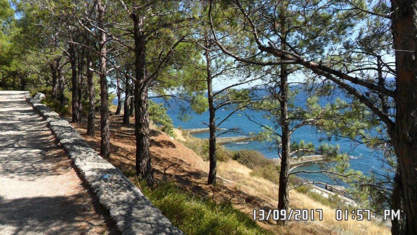 Отдых в Крыму, Кацивели