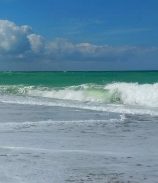 Отдых в Крыму, Прибрежное (Саки)
