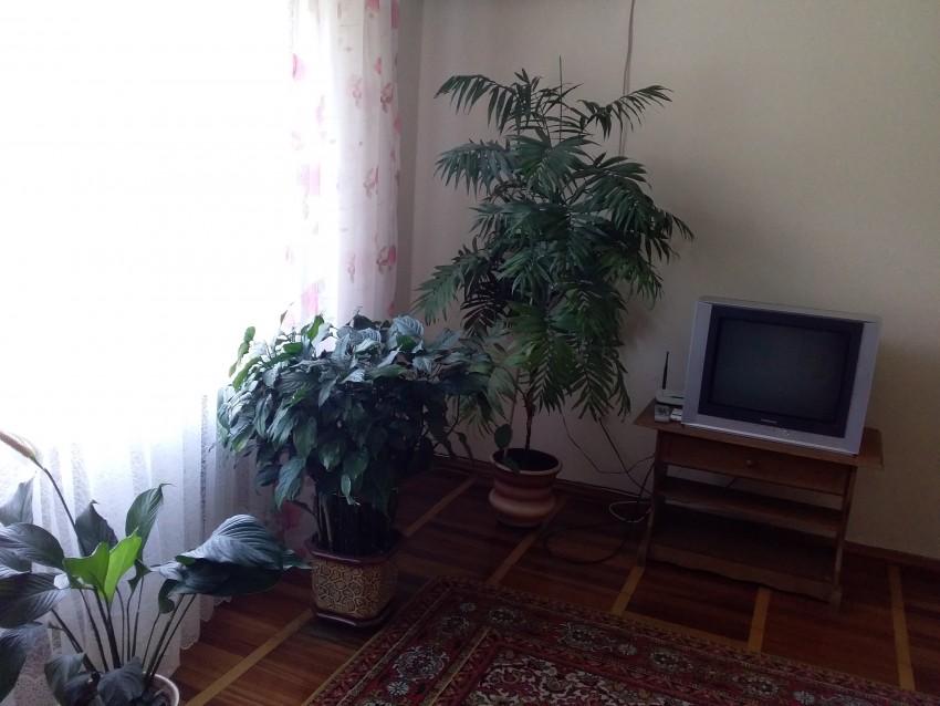 Отдых в Крыму, Партенит