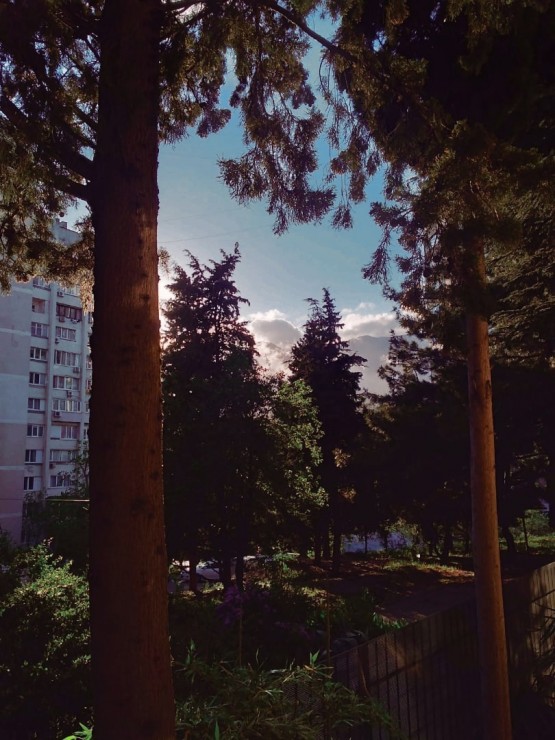 Отдых в Крыму, Партенит