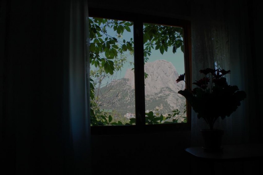 Отдых в Крыму, Новый Свет