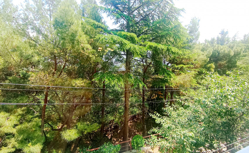 Отдых в Крыму, Кацивели